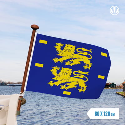Vlag West-Friesland 80x120cm - spunpoly