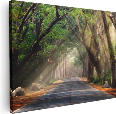 Artaza Canvas Schilderij Bomenlaan - 40x30 cm - Klein - Wanddecoratie Natuur - Muurdecoratie Bos - Kamer Accessoires Landschap