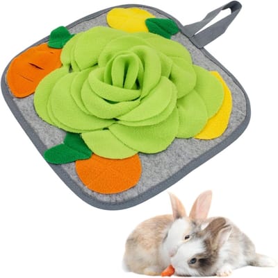 Anti-slip Voer Mat voor Konijnen met Hangkoord, Kleurrijke Snoffelmat voor Chinchilla's, Puppy’s en Cavia's, Ideaal voor Snuffeltraining en Speelplezier, Groen, M