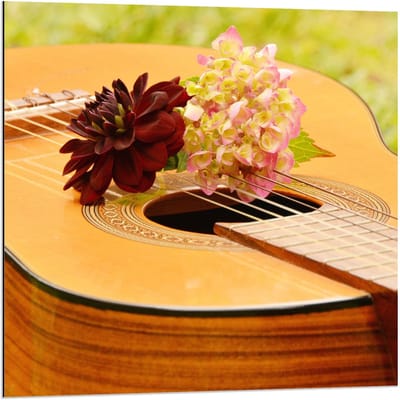 Dibond - Gitaar in Grasveld met Bloemen - 80x80cm Foto op Aluminium (Met Ophangsysteem)