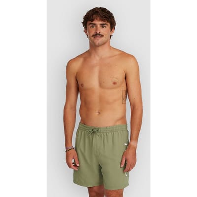 O'Neill Logo 16'' Boardshorts groen