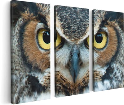 Artaza Canvas Schilderij Drieluik Uil Kop Met Gouden Ogen  - 120x80 - Foto Op Canvas - Canvas Print