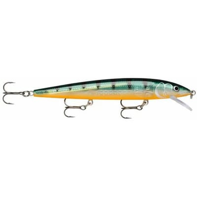 Ophangen van kunstaas Rapala husky jerk 10 cm