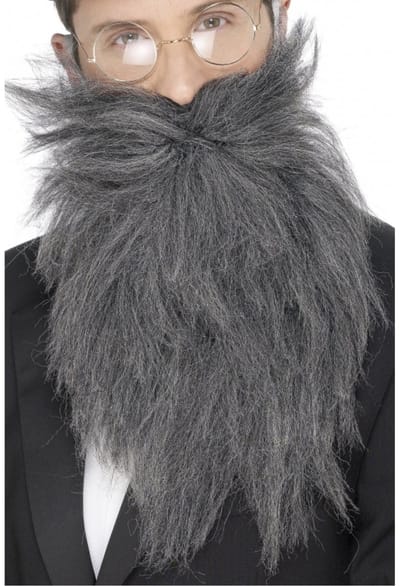Verkleed baard en snor - grijs - lang model - professor/geleerde/wijze man