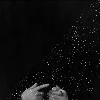 Duane Pitre & Cory Allen - The Seeker And The Heeler (LP)