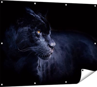 Gards Tuinposter Zwarte Panter - 120x90 cm - Tuindoek - Tuindecoratie - Wanddecoratie buiten - Tuinschilderij