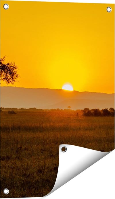Gards Tuinposter Zonsopgang in de Savanne met een Boom - 40x60 cm - Tuindoek - Tuindecoratie - Wanddecoratie buiten - Tuinschilderij