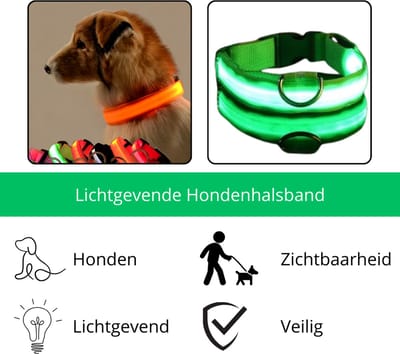 LED Hondenhalsband – Lichtgevende Hondenhalsband – Veiligheidshalsband Hond – Glow In The Dark Halsband – Fluorescerende Hondenhalsband – Zichtbaarheid En Veiligheid Hond In Het Donker – Nylon Hondenhalsband Met LED – Hondenhalsband Voor Buiten – 40,