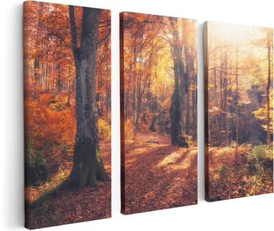 Artaza Canvas Schilderij Drieluik Oranje Herfstbos Met Zonneschijn - 120x80 - Foto Op Canvas - Canvas Print