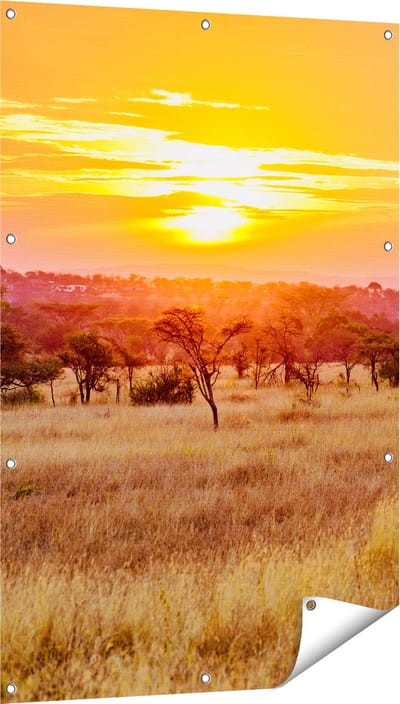 Gards Tuinposter Zonsondergang in de Savanne - 80x120 cm - Tuindoek - Tuindecoratie - Wanddecoratie buiten - Tuinschilderij
