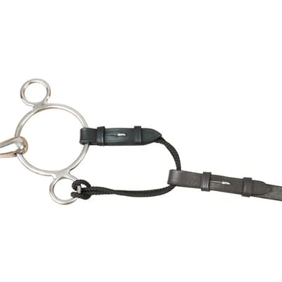 Alliantie voor leder en touw bitten T de T