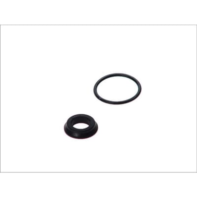 Reparatieset, hoofdremcilinder AUTOFREN SEINSA D1714
