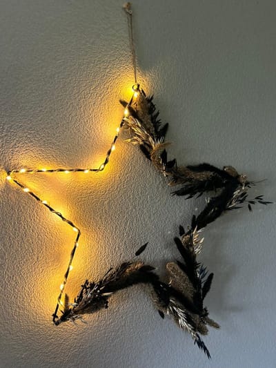 Verlichte Ster – Fleur met jute touw – 40cm - Verlichte ster kerst - Kerstster - Kerstdecoratie - Kerst - Verlicht - Droogbloemen verlicht - Droogbloemen - Beige -Zwart Goud - LED - La florista
