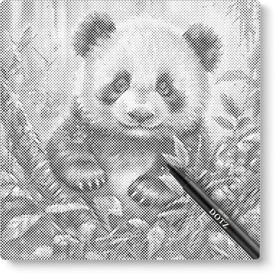 Pandabeertje | Dot painting | 40x40cm | Dot painting | Oh My Dotz | Dots stippen | Diamond painting & Schilderen op nummer alternatief | Happy hobby