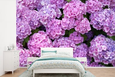 Behang - Fotobehang Bloemen - Hortensia - Struik - Roze - Bloemblaadjes - Breedte 600 cm x hoogte 400 cm