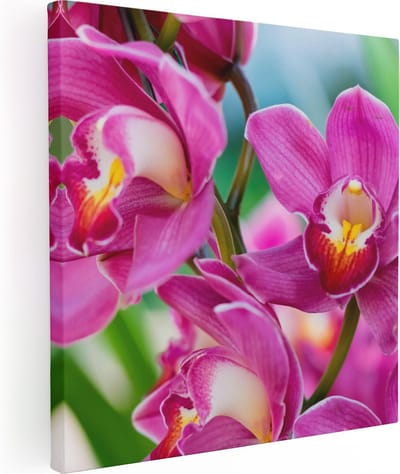 Artaza Canvas Schilderij Orchidee - 80x80 cm - Wanddecoratie Bloemen - Muurdecoratie Bloem - Schilderijen Op Canvas