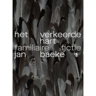 Het Verkeerde Hart - Jan Baeke