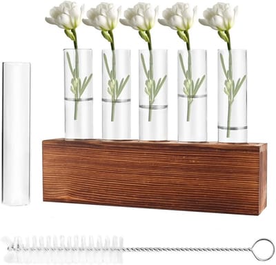 Glazen Vaas met Houten Stand en Reinigingsborstel, 5 Testbuizen voor Hydrocultuur en Bloemen Groei Station