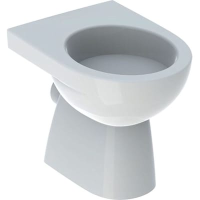 Geberit Renova pedestal WC washdown, horizontal outlet, partially closed form 500.810.01.2