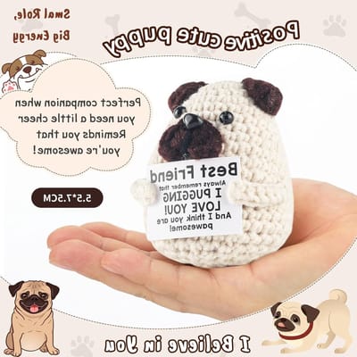 Positief Honden Ornament en Geluks Munt, Inspirerende Geschenken voor Kankerbestrijding en Ziektebestrijding