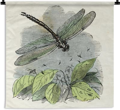 Wandkleed Libelle illustratie - Een illustratie van een groene libelle Wandkleed katoen 180x180 cm - Wandtapijt met foto