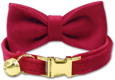 LUQ – Kattenhalsband Rood met Strik – Premium Velvet – Gouden Belletje – Verstelbaar tot 32cm – Luxe Gouden Sluiting