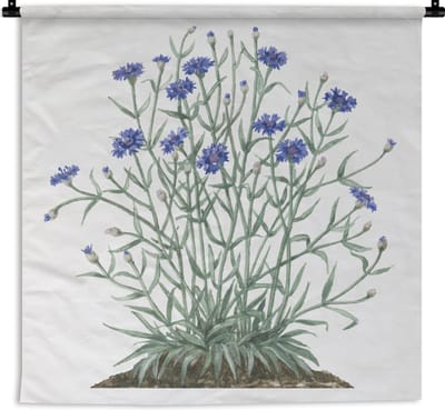 Wandkleed Korenbloem illustratie - Een illustratie van korenbloemen in de grond Wandkleed katoen 120x120 cm - Wandtapijt met foto