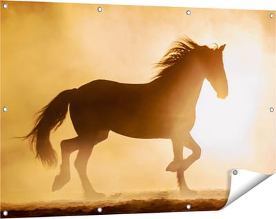 Gards Tuinposter Silhouet van een Paard - 120x80 cm - Tuindoek - Tuindecoratie - Wanddecoratie buiten - Tuinschilderij