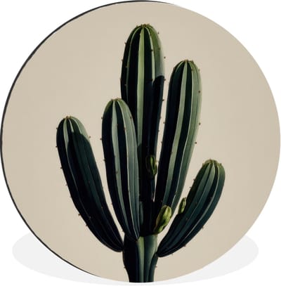 WallCircle - Wandcirkel - Muurcirkel - Cactus - Subtiel - Groen - Aluminium - Dibond - 30x30 cm - Binnen en Buiten