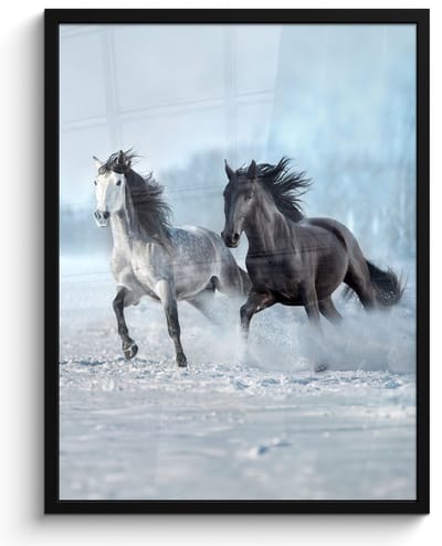 Poster in lijst - Fotolijst 50x70 cm - Posters - Paarden - Winter - Dieren - Natuur - Sneeuw - Posterlijst zwart - Decoratie - Wanddecoratie woonkamer - Muurdecoratie slaapkamer