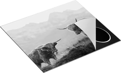 Chefcare Inductie Beschermer Twee Schotse Hooglanders in de Bergen - Zwart Wit - 60x50 cm - Afdekplaat Inductie - Kookplaat Beschermer - Inductie Mat