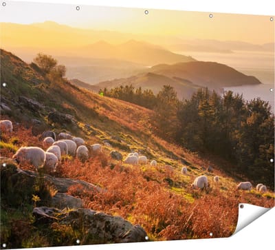 Gards Tuinposter Schapen in de Bergen - 160x120 cm - Tuindoek - Tuindecoratie - Wanddecoratie buiten - Tuinschilderij