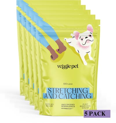 VeggiePet Sweet Potato Training Balls - Hondensnacks - 5x100 Gram - 100% Veggie - Stretching & Catching