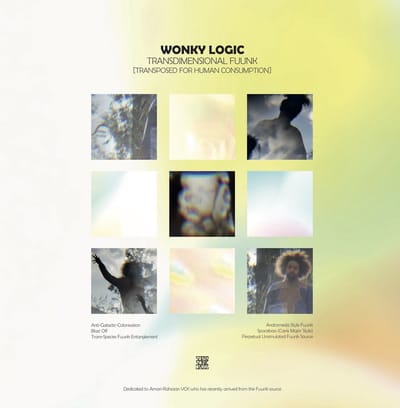 Wonky Logic - Transdimensional Fuunk (LP)