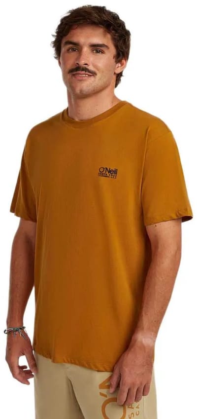 O´neill O´riginals Cali T-shirt Met Korte Mouwen Bruin XS Man