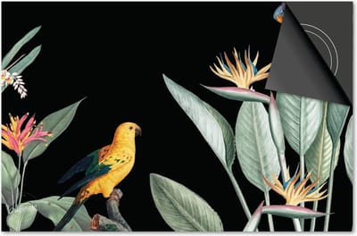 Inductie beschermer 60x60 - afdekplaat inductie mat - Dietrix Kookplaat beschermer - Exclusief - Jungle Zwart Bladeren Vogel