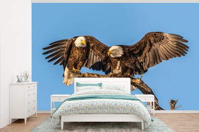Behang - Fotobehang Vogel - Takken - Arend - Roofvogels - Lucht - Breedte 375 cm x hoogte 240 cm