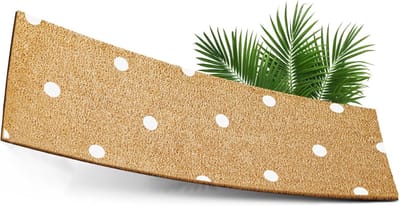 DailySupplies® Borstelmat Voor Buiten – Voetenveger Van Kokusrubber – Deurmat Binnen Antislip