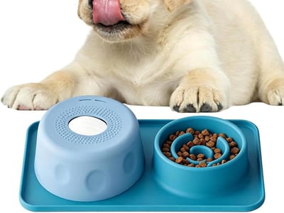 Honden Likbal Kom - Voedingsschaal Honden - Langzaam Eten - Anti-Verstikking Ontwerp - 500 milliliter - Malachietblauw