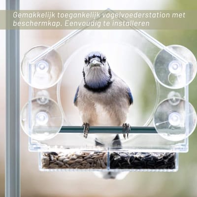 Aura® Raamvoederhuisje - Raamvoederhuisje Voor Vogels – Raamvoederbakje Met Zuignappen – Vogelvoederhuisje – Vogelhuisje Transparant – Vogelhuisjes - Transparant - ‎5cm x 5cm x 5cm