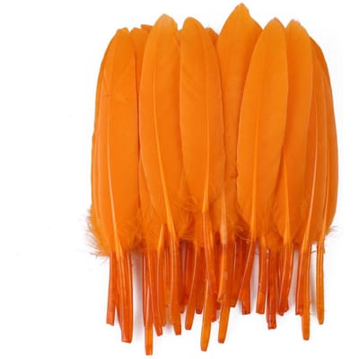 50/100/200pcs Plumes d'Oie Bleues Tige Dure 4-6pouces/10-15cm Plume de Cygne Naturelle Réelle Décoration de Maison Attrape-Rêves Artisanat 50Pieces