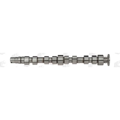 Nokkenas  AE CAM925