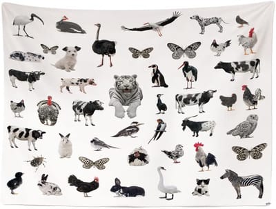 Ulticool - Dieren Tijger Zwart Wit Kinderkamer - Wandkleed - 200 x150 cm - Groot wandtapijt - Poster - Decoratie Lente voor Binnen