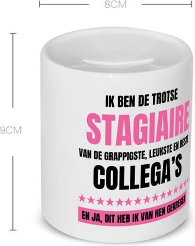 Akyol - de trotse stagiaire Spaarpot - Stagiair - beste stagiaire - werk - afscheidscadeau - verjaardagscadeau - kado - 350 ML inhoud