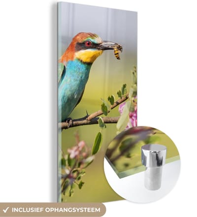 MuchoWow® Glasschilderij 20x40 cm - Schilderij acrylglas - Vogel - Bijeneter - Bloemen - Foto op glas - Schilderijen