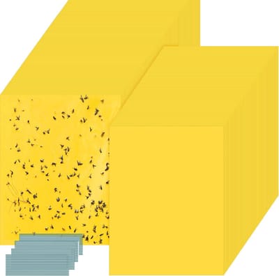 Dubbelzijdige kleefvallen voor insecten - inclusief 100 binddraden - vangen vliegen en andere insecten - 100 vallen - 15 x 20 cm - geschikt voor gebruik binnenshuis - kleefvallen speciaal voor kassen - geel