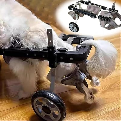 Hondenrolstoel 2-wiel - Hulpmiddel gehandicapte hond - Ondersteuning mobiliteit - Verstelbaar harnas - XS - Zilver