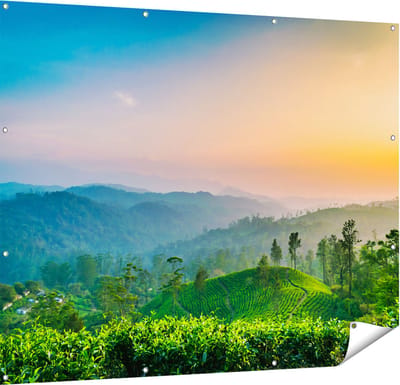 Gards Tuinposter Zonsondergang op een Thee Plantage - 150x120 cm - Tuindoek - Tuindecoratie - Wanddecoratie buiten - Tuinschilderij