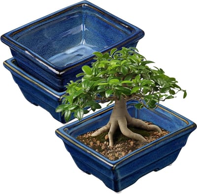 Allecto Plus - Set van 2 Bonsai Potten ondiepe Succulenten Planter voor Woon Bonsai Bomen 16cm Keramische Bloempot voor Binnen Succulenten met Afvoergat Cactus Plant Bonsai Pot