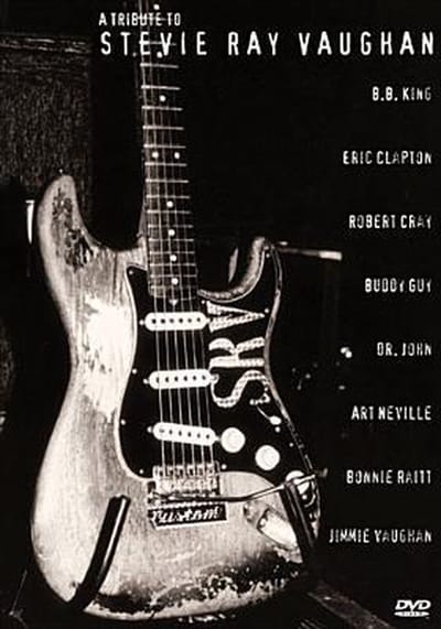 Tribute To Stevie Ray Vaughan / Various